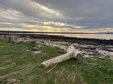 Aberdour, İskoçya yakınlarındaki Fife 'ın güneyindeki engebeli İskoç kıyı şeridi
