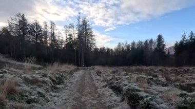 İskoçya 'da Glen Righ' de yürüyüş. İskoçya 'nın tepelerindeki ve Glenslerindeki manzara manzarası