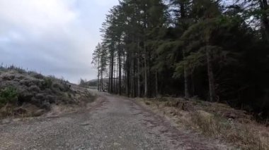İskoçya 'da Glen Righ' de yürüyüş. İskoçya 'nın tepelerindeki ve Glenslerindeki manzara manzarası