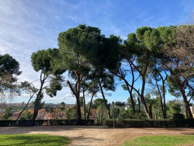 İspanya: 3 Ocak 2025: Madrid sokakları, ikonik binalar, ünlü anıtlar. Spains Capital City 'de sokakta.. 