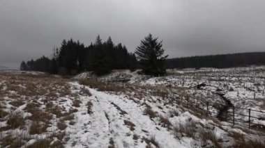 Kışın İskoçya 'da tepe yürüyüşü. Glen Vale İskoçya 'nın göbeğinde, Doğu ve Batı Lomond tepeleri arasında. Kışın buz ve kar. Ağaçlar ve çalılar buzla kaplı. Dağlar ve Glenler.