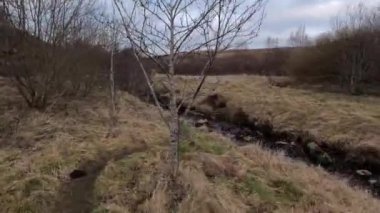 İskoçya İskoçya 'da tepe yürüyüşü. Aberfeldy, Perthshire yakınlarındaki Dun Coillich tepesinde. Schihallian adı verilen ünlü Munro dağının yakınında sık sık uzaklarda belirir. Sonbahar renkleri ve kahverengi fundalık arazide büyüyor..