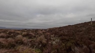 İskoçya İskoçya 'da tepe yürüyüşü. Aberfeldy, Perthshire yakınlarındaki Dun Coillich tepesinde. Schihallian adı verilen ünlü Munro dağının yakınında sık sık uzaklarda belirir. Sonbahar renkleri ve kahverengi fundalık arazide büyüyor..