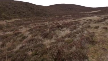 İskoçya İskoçya 'da tepe yürüyüşü. Aberfeldy, Perthshire yakınlarındaki Dun Coillich tepesinde. Schihallian adı verilen ünlü Munro dağının yakınında sık sık uzaklarda belirir. Sonbahar renkleri ve kahverengi fundalık arazide büyüyor..
