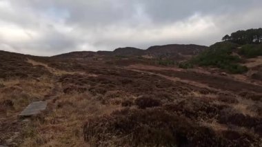 İskoçya İskoçya 'da tepe yürüyüşü. Aberfeldy, Perthshire yakınlarındaki Dun Coillich tepesinde. Schihallian adı verilen ünlü Munro dağının yakınında sık sık uzaklarda belirir. Sonbahar renkleri ve kahverengi fundalık arazide büyüyor..