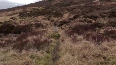 İskoçya İskoçya 'da tepe yürüyüşü. Aberfeldy, Perthshire yakınlarındaki Dun Coillich tepesinde. Schihallian adı verilen ünlü Munro dağının yakınında sık sık uzaklarda belirir. Sonbahar renkleri ve kahverengi fundalık arazide büyüyor..