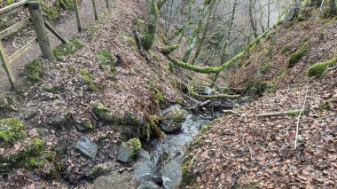Aberfeldy Birkleri, Mones boyunca şelaleler ve antik ağaçlarla birlikte yürür. Yosun örtülü manzara, güzel doğal bitkiler ve orman. Robert Burns 'ün 1787 İskoç aşk şarkısını yazdığı yer. Turizm merkezi ve doğal konum.