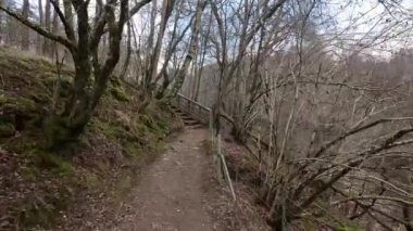 Aberfeldy 'nin Birks' ü, Robert Burns 'ün 1787' de İskoç aşk şarkısını yazdığı Moness Burn boyunca yürür. Turistik bir yer ve doğal bir yer. Moness Şelalesi