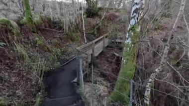 Aberfeldy 'nin Birks' ü, Robert Burns 'ün 1787' de İskoç aşk şarkısını yazdığı Moness Burn boyunca yürür. Turistik bir yer ve doğal bir yer. Moness Şelalesi