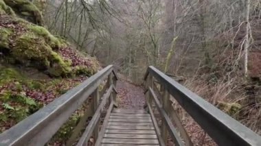 Aberfeldy 'nin Birks' ü, Robert Burns 'ün 1787' de İskoç aşk şarkısını yazdığı Moness Burn boyunca yürür. Turistik bir yer ve doğal bir yer. Moness Şelalesi