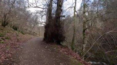 Aberfeldy 'nin Birks' ü, Robert Burns 'ün 1787' de İskoç aşk şarkısını yazdığı Moness Burn boyunca yürür. Turistik bir yer ve doğal bir yer. Moness Şelalesi