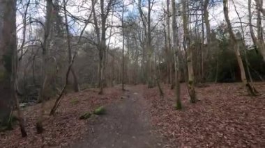 Aberfeldy 'nin Birks' ü, Robert Burns 'ün 1787' de İskoç aşk şarkısını yazdığı Moness Burn boyunca yürür. Turistik bir yer ve doğal bir yer. Moness Şelalesi