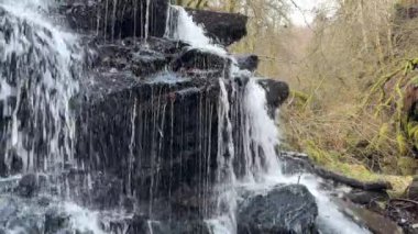 Aberfeldy 'nin Birks' ü, Robert Burns 'ün 1787' de İskoç aşk şarkısını yazdığı Moness Burn boyunca yürür. Turistik bir yer ve doğal bir yer. Moness Şelalesi