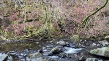 Aberfeldy 'nin Birks' ü, Robert Burns 'ün 1787' de İskoç aşk şarkısını yazdığı Moness Burn boyunca yürür. Turistik bir yer ve doğal bir yer. Moness Şelalesi