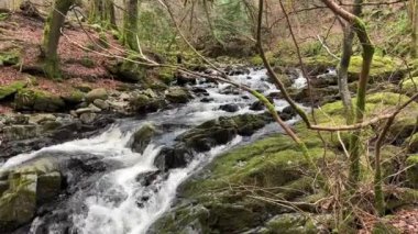 Aberfeldy 'nin Birks' ü, Robert Burns 'ün 1787' de İskoç aşk şarkısını yazdığı Moness Burn boyunca yürür. Turistik bir yer ve doğal bir yer. Moness Şelalesi