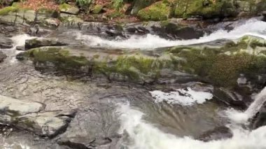 Aberfeldy 'nin Birks' ü, Robert Burns 'ün 1787' de İskoç aşk şarkısını yazdığı Moness Burn boyunca yürür. Turistik bir yer ve doğal bir yer. Moness Şelalesi