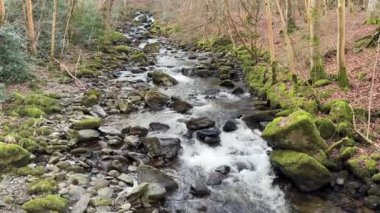 Aberfeldy 'nin Birks' ü, Robert Burns 'ün 1787' de İskoç aşk şarkısını yazdığı Moness Burn boyunca yürür. Turistik bir yer ve doğal bir yer. Moness Şelalesi