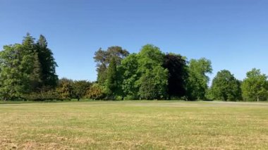 Ağaçlarla ve tarlada geyiklerle dolu uzun vadeli bir manzara. İskoçya