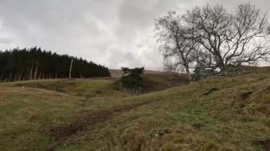 Tomnadashan 'da terk edilmiş bakır madeni. Caerbannog Mağarası olarak da bilinir. Monty Python 'un 