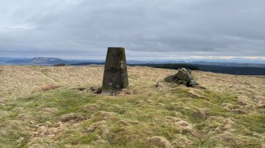 İskoçya, Fife 'daki Dumglow Hill Zirvesi. Bulutlu, kasvetli bir günde otlaklarla ve uzun çam ağaçlarıyla dolu bir İskoç kırsalında yuvarlanıyor. Dağlar ve vadiler