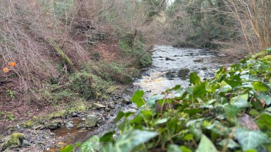 İskoçya 'nın merkezindeki Leith Nehri' nin Suyu. Su yolu boyunca yürüyün. Edinburgh 'un merkezinden geçiyor.
