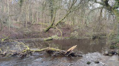 İskoçya 'nın merkezindeki Leith Nehri' nin Suyu. Su yolu boyunca yürüyün. Edinburgh 'un merkezinden geçiyor.