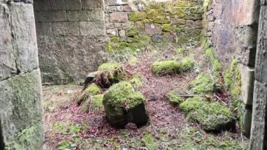 Dowhill Şatosu, İskoç topraklarındaki harabe. Eski terk edilmiş tarihi ortaçağ mimarisi manzarası