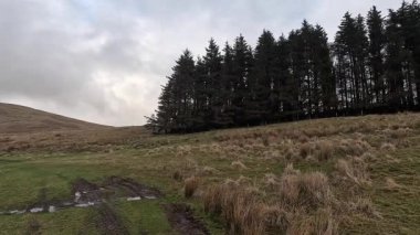 İskoçya 'nın Crieff yakınlarındaki Meall Tarsuinn dağında yürüyüş. Doğada tepe yürüyüşü, ilkbaharda açık hava, kar ve fundalık. Yuvarlanan dağlar