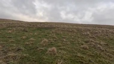 İskoçya 'nın Crieff yakınlarındaki Meall Tarsuinn dağında yürüyüş. Doğada tepe yürüyüşü, ilkbaharda açık hava, kar ve fundalık. Yuvarlanan dağlar