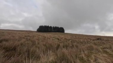 İskoçya 'nın Crieff yakınlarındaki Meall Tarsuinn dağında yürüyüş. Doğada tepe yürüyüşü, ilkbaharda açık hava, kar ve fundalık. Yuvarlanan dağlar