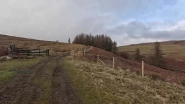 İskoçya 'nın Crieff yakınlarındaki Meall Tarsuinn dağında yürüyüş. Doğada tepe yürüyüşü, ilkbaharda açık hava, kar ve fundalık. Yuvarlanan dağlar