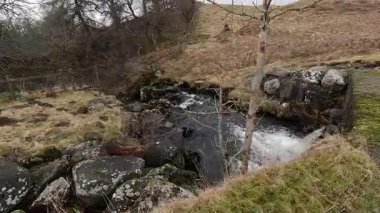 İskoçya 'nın Crieff yakınlarındaki Meall Tarsuinn dağında yürüyüş. Doğada tepe yürüyüşü, ilkbaharda açık hava, kar ve fundalık. Yuvarlanan dağlar