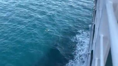 Zadar ve Ugljan Adası arasında giden feribot. Adriyatik Denizi 'nden toplu taşıma. Su yolu taşımacılığı.