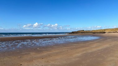 İskoçya 'da Edinburgh yakınlarındaki Aberlady Plajı. Açık bir bahar gününde rüzgârlı bir sahil. Hafif bulutlar, altın kum, silip süpüren sahil ve deniz kıyıları