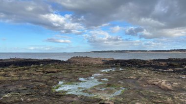 İskoçya 'da Edinburgh yakınlarındaki Aberlady Plajı. Açık bir bahar gününde rüzgârlı bir sahil. Hafif bulutlar, altın kum, silip süpüren sahil ve deniz kıyıları