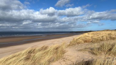 İskoçya 'da Edinburgh yakınlarındaki Aberlady Plajı. Açık bir bahar gününde rüzgârlı bir sahil. Hafif bulutlar, altın kum, silip süpüren sahil ve deniz kıyıları