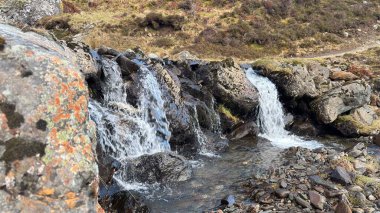 İskoçya 'nın dağlarında ve Highland tepelerinde küçük İskoç Burns. İskoçya 'nın dağlık kırsal kesimindeki göl tareti İskoçya' nın dağlık arazi manzarası tipik kenevir ve otlaklarla kaplı.