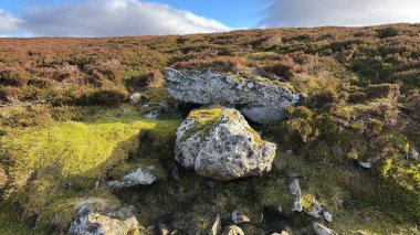 Glen Tarret, İskoçya 'nın dağlık arazi manzarası tipik fundaları ve otlaklarıyla İskoçya' nın Highlands boyunca
