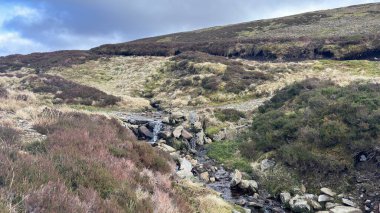 Glen Tarret, İskoçya 'nın dağlık arazi manzarası tipik fundaları ve otlaklarıyla İskoçya' nın Highlands boyunca
