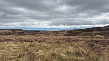 Glen Tarret, İskoçya 'nın dağlık arazi manzarası tipik fundaları ve otlaklarıyla İskoçya' nın Highlands boyunca