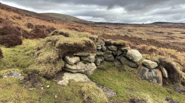 Glen Kulesi 'nde İskoç orman tavuğu vuruyor. İskoçya 'nın dağlık arazi manzarası tipik fundalık ve otlaklarla kaplı.