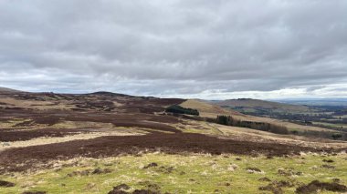 Glen Tarret, İskoçya 'nın dağlık arazi manzarası tipik fundaları ve otlaklarıyla İskoçya' nın Highlands boyunca