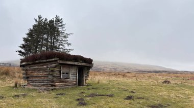 İskoç kırlarını ve tepelerini süpürdü. Perthshire sıradağları. Cnoc Beithe tepesi. Otlaklar, koyunlar ve akan su. Dağlık nehir bulutlu vahşi yerleri yakıyor.