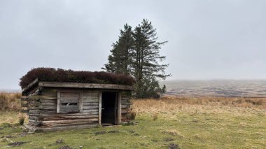 İskoç kırlarını ve tepelerini süpürdü. Perthshire sıradağları. Cnoc Beithe tepesi. Otlaklar, koyunlar ve akan su. Dağlık nehir bulutlu vahşi yerleri yakıyor.