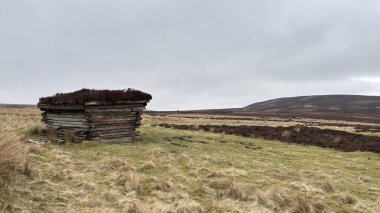 İskoç kırlarını ve tepelerini süpürdü. Perthshire sıradağları. Cnoc Beithe tepesi. Otlaklar, koyunlar ve akan su. Dağlık nehir bulutlu vahşi yerleri yakıyor.