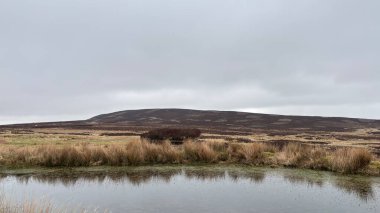 İskoç kırlarını ve tepelerini süpürdü. Perthshire sıradağları. Cnoc Beithe tepesi. Otlaklar, koyunlar ve akan su. Dağlık nehir bulutlu vahşi yerleri yakıyor.