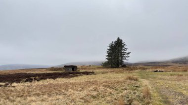 İskoç kırlarını ve tepelerini süpürdü. Perthshire sıradağları. Cnoc Beithe tepesi. Otlaklar, koyunlar ve akan su. Dağlık nehir bulutlu vahşi yerleri yakıyor.