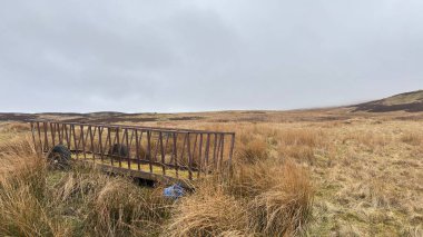 İskoç kırlarını ve tepelerini süpürdü. Perthshire sıradağları. Cnoc Beithe tepesi. Otlaklar, koyunlar ve akan su. Dağlık nehir bulutlu vahşi yerleri yakıyor.