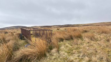 İskoç kırlarını ve tepelerini süpürdü. Perthshire sıradağları. Cnoc Beithe tepesi. Otlaklar, koyunlar ve akan su. Dağlık nehir bulutlu vahşi yerleri yakıyor.