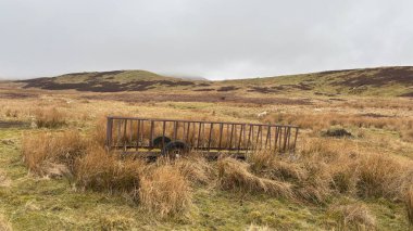İskoç kırlarını ve tepelerini süpürdü. Perthshire sıradağları. Cnoc Beithe tepesi. Otlaklar, koyunlar ve akan su. Dağlık nehir bulutlu vahşi yerleri yakıyor.